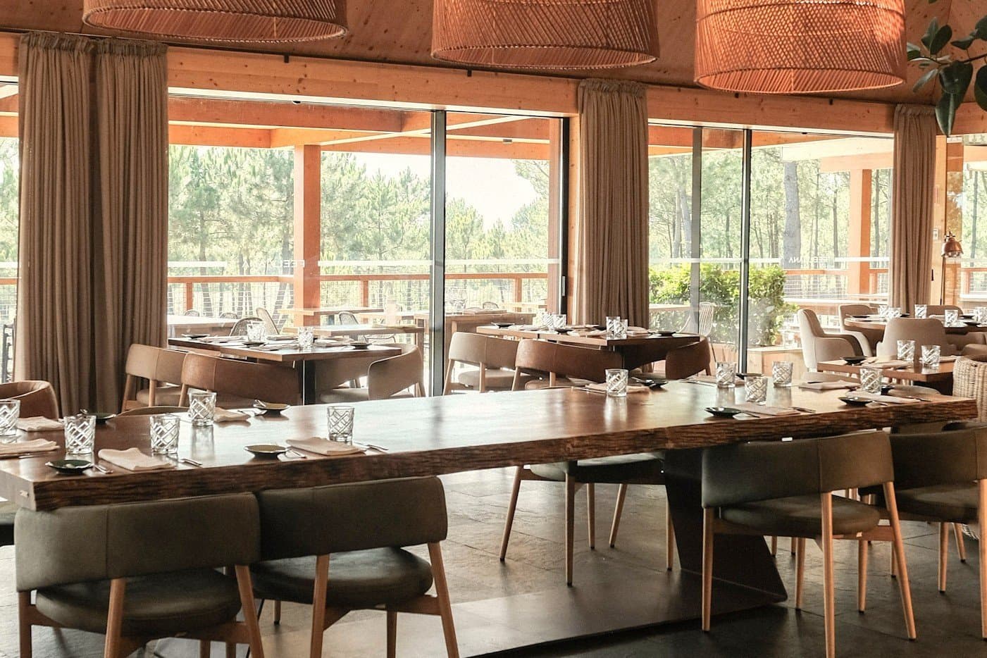 Feel Viana restaurant with views across the pines to the beach